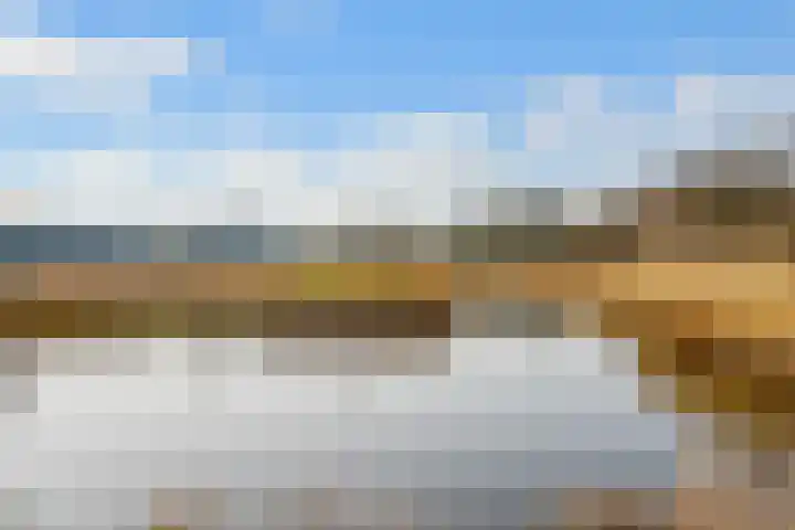 Spechtlaan 4 Almere thumbnail 69