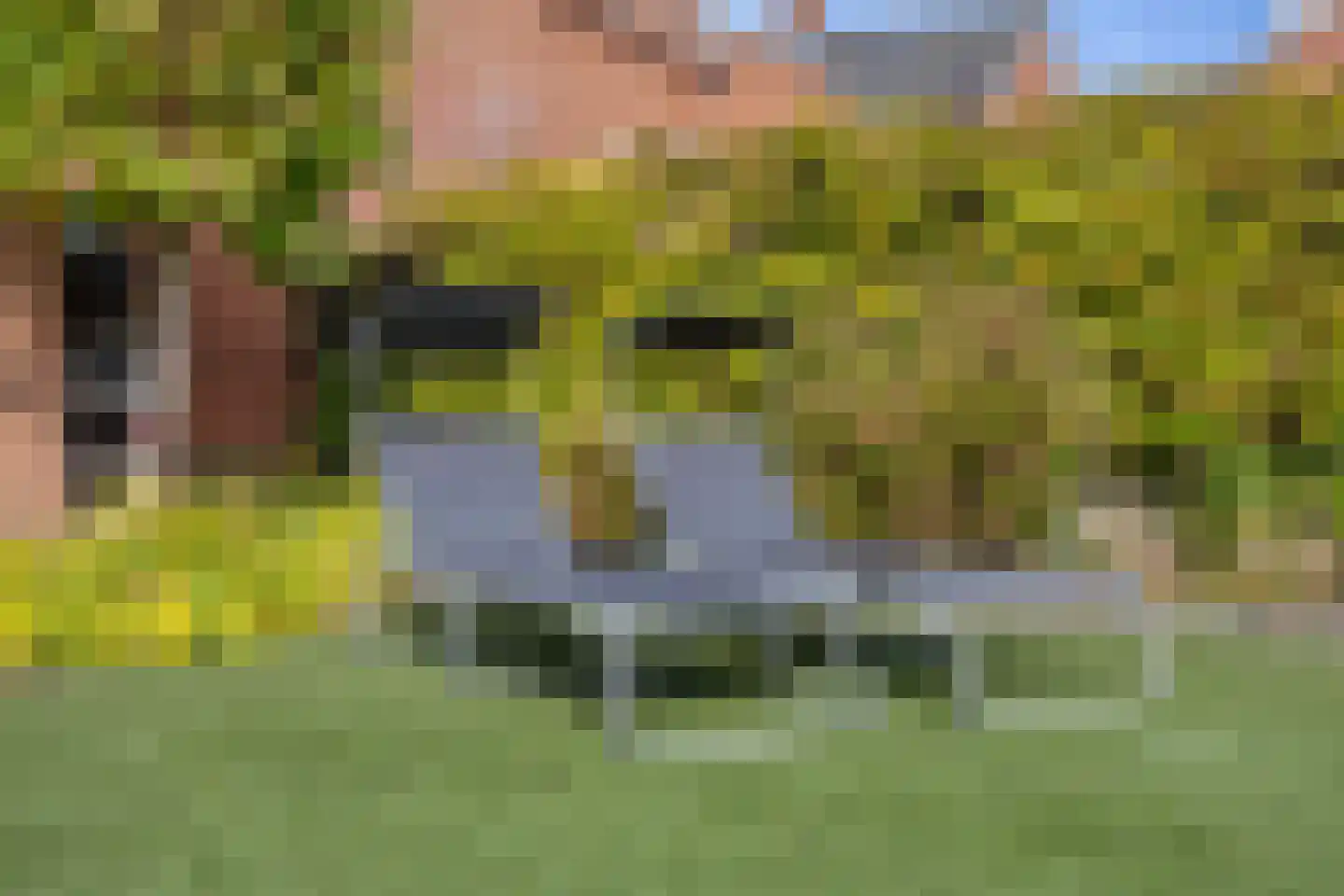 Spechtstraat 2 de Lutte thumbnail 24