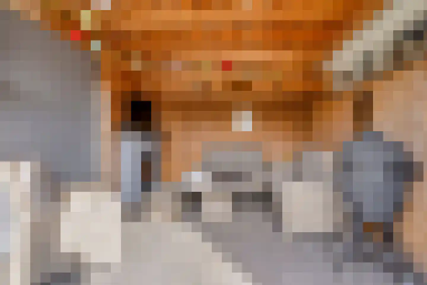 Spechtstraat 2 de Lutte thumbnail 26