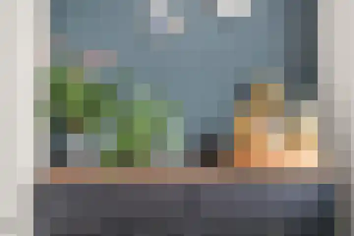 Spechtstraat 36 Duiven thumbnail 16