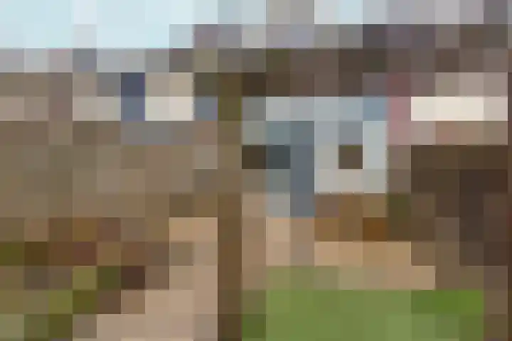 Spechtstraat 36 Duiven thumbnail 38