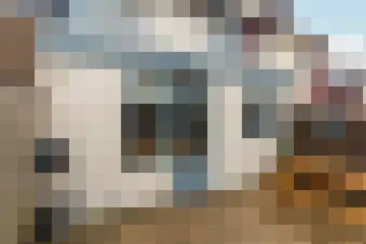Spechtstraat 36 Duiven thumbnail 39