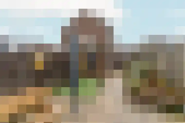 Spechtstraat 36 Duiven thumbnail 40