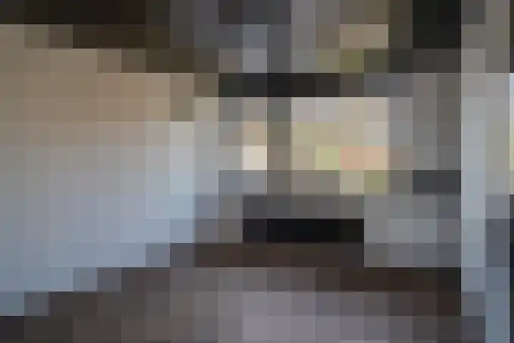 Spechtstraat 5 Sittard thumbnail 34