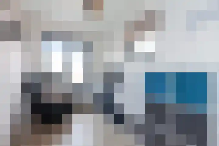 Spectrumsingel 191 Zoetermeer thumbnail 28