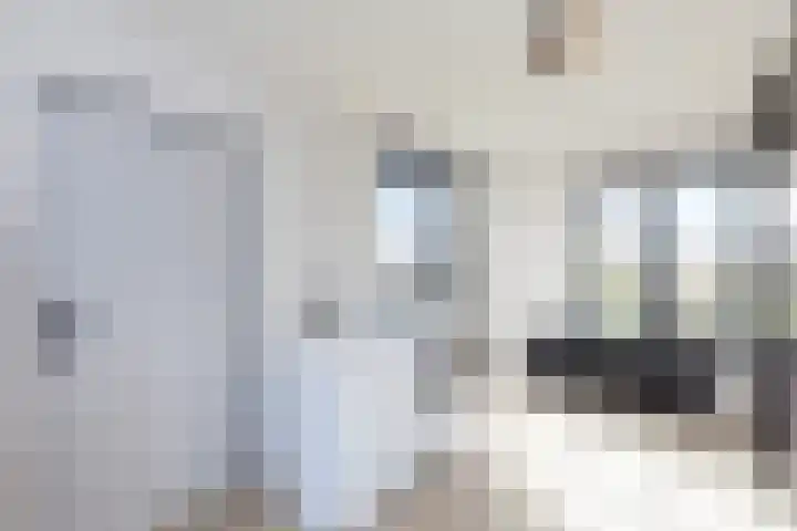 Spectrumsingel 191 Zoetermeer thumbnail 33