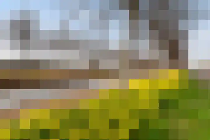 Spectrumsingel 191 Zoetermeer thumbnail 36