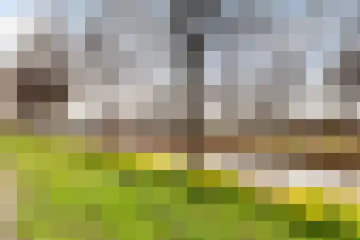 Spectrumsingel 191 Zoetermeer thumbnail 37