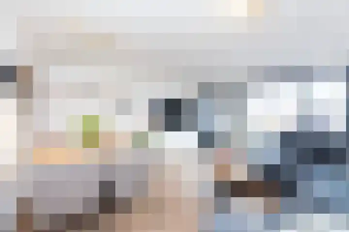 Spectrumsingel 191 Zoetermeer thumbnail 4