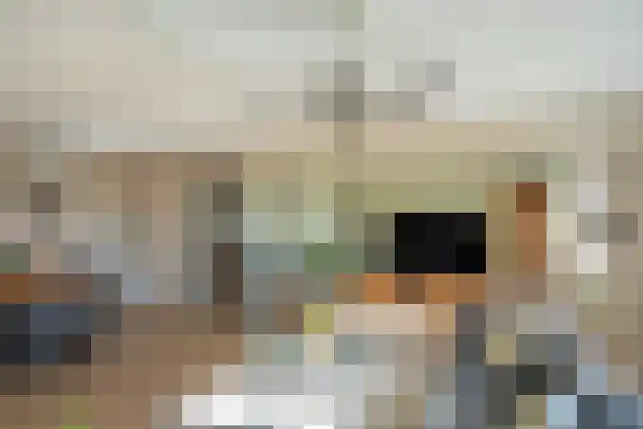 Spectrumsingel 237 Zoetermeer thumbnail 11