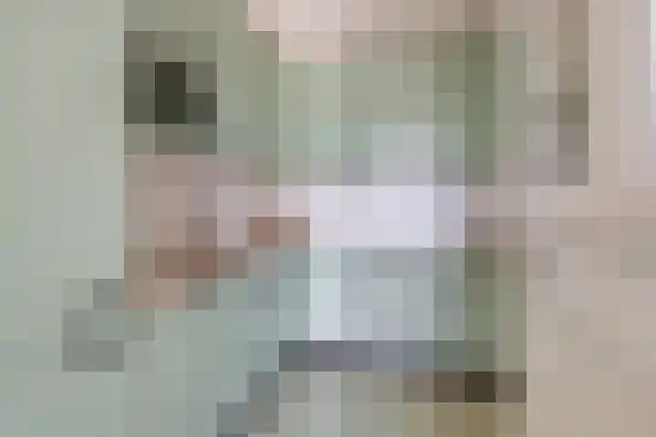 Spectrumsingel 237 Zoetermeer thumbnail 14