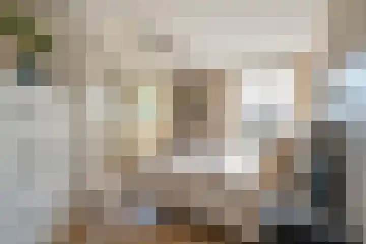 Spectrumsingel 237 Zoetermeer thumbnail 24