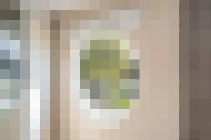 Spectrumsingel 237 Zoetermeer thumbnail 25