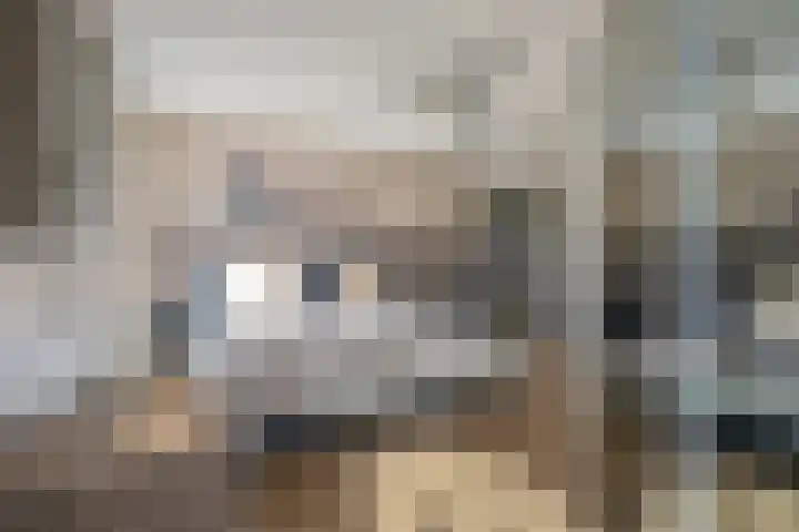 Spectrumsingel 237 Zoetermeer thumbnail 26