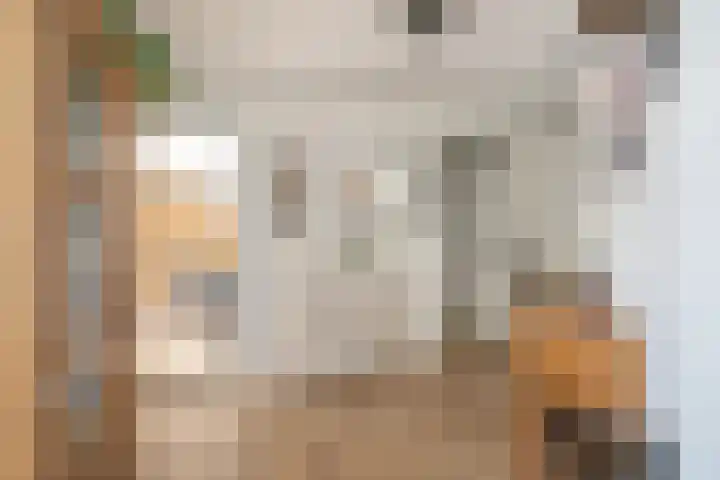 Spectrumsingel 237 Zoetermeer thumbnail 6