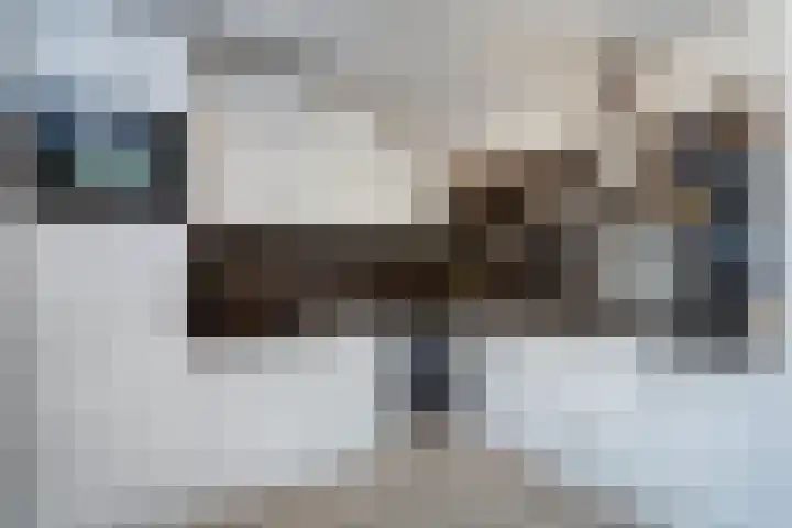 Speelheuvel 7 Urmond thumbnail 27