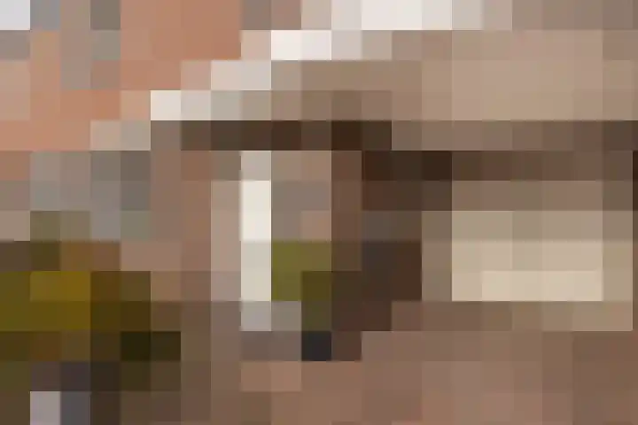 Speelheuvel 7 Urmond thumbnail 9