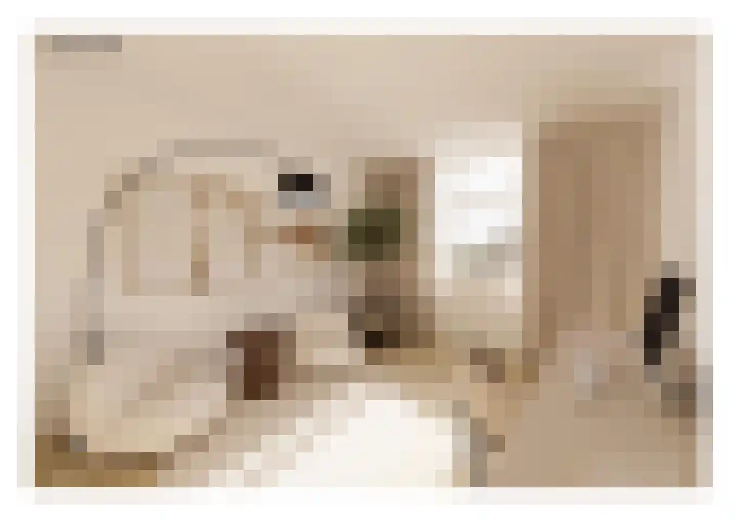 Speelhuislaan 73 Breda thumbnail 39