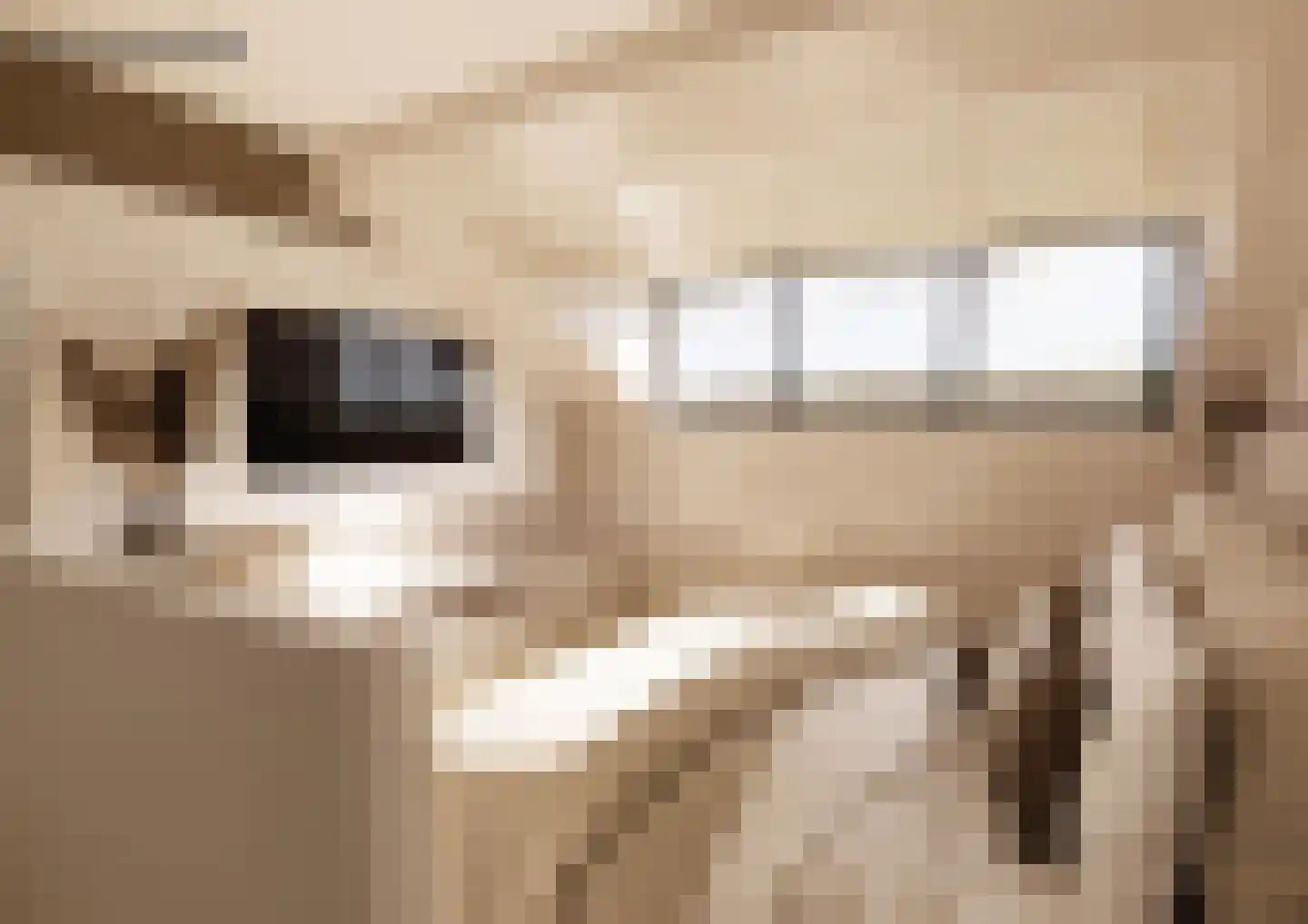 Speelhuislaan 73 Breda thumbnail 50
