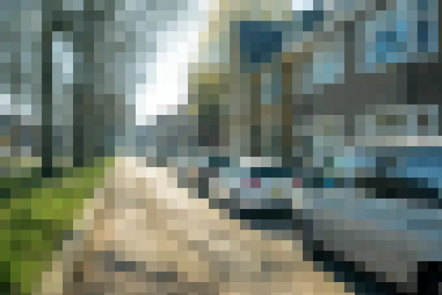Speelhuislaan 73 Breda thumbnail 74