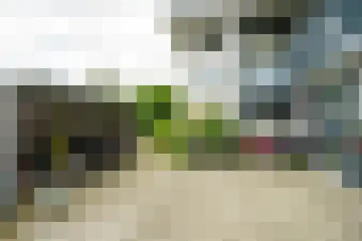 Speelkamp 24 b Leusden thumbnail 12