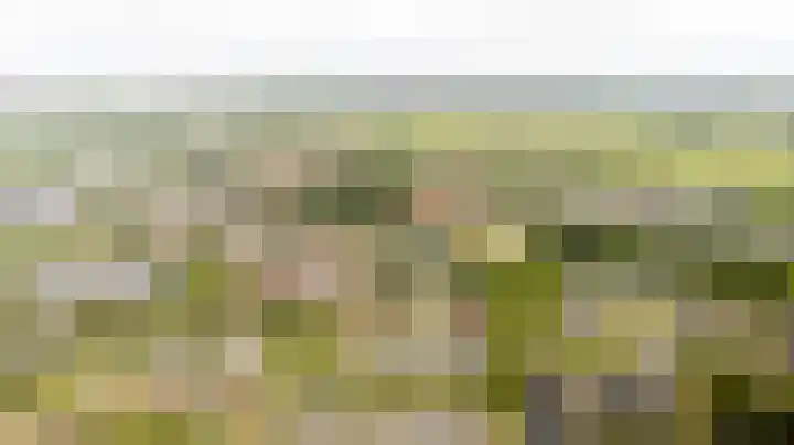 Speelkamp 24 b Leusden thumbnail 17
