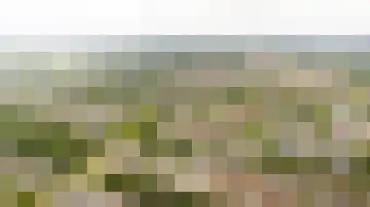 Speelkamp 24 b Leusden thumbnail 22