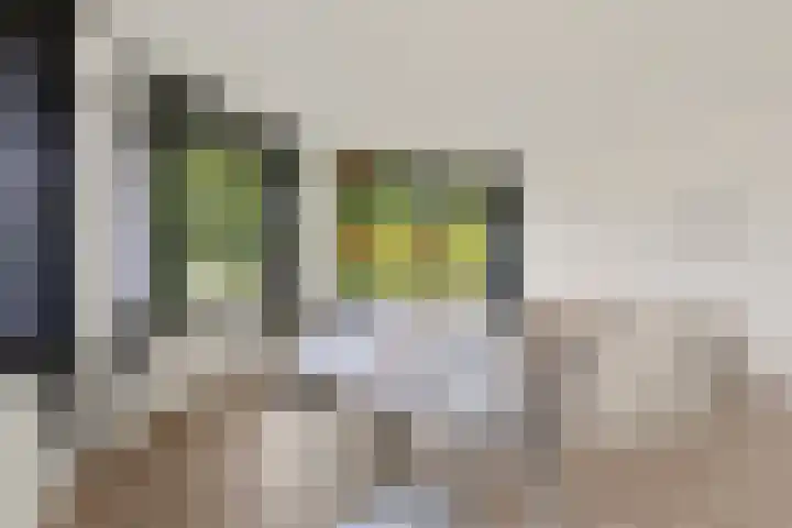 Speelkamp 24 j Leusden thumbnail 12