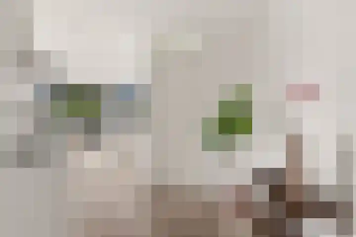 Speelkamp 24 j Leusden thumbnail 4