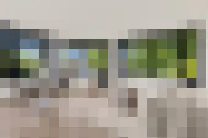 Speelkamp 24 j Leusden thumbnail 7