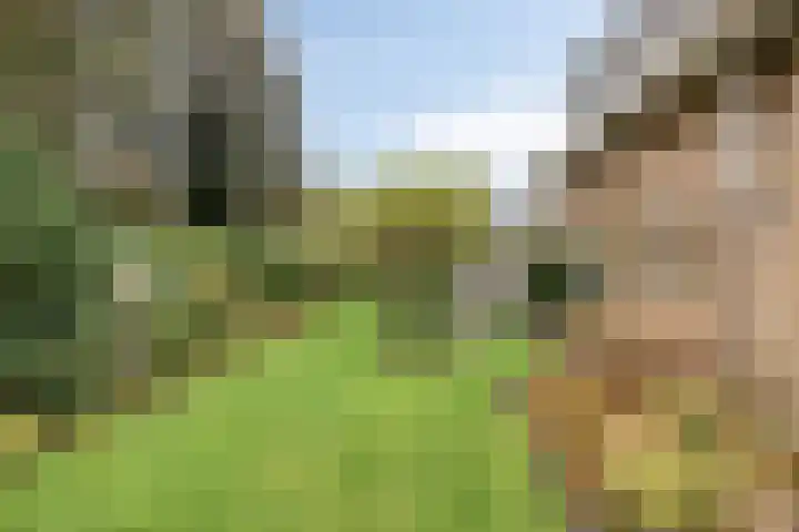 Speelkamp 26 a Leusden thumbnail 16