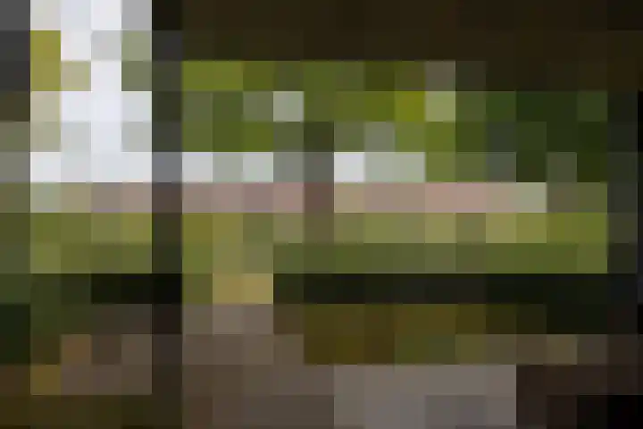 Speelkamp 28 g Leusden thumbnail 15