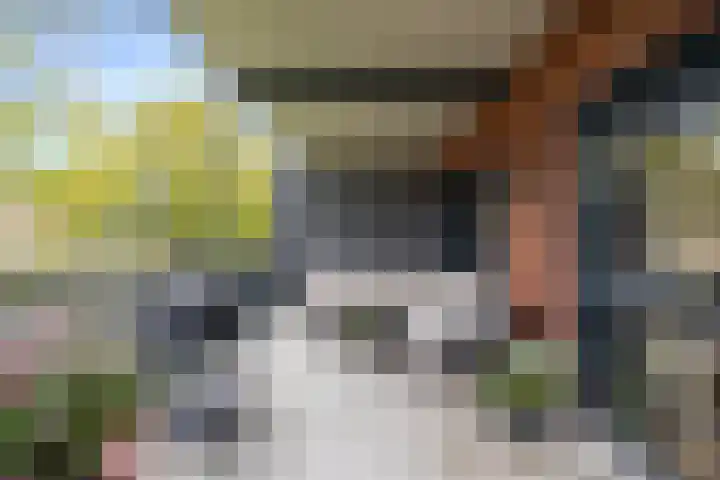 Speelkamp 30 g Leusden thumbnail 11
