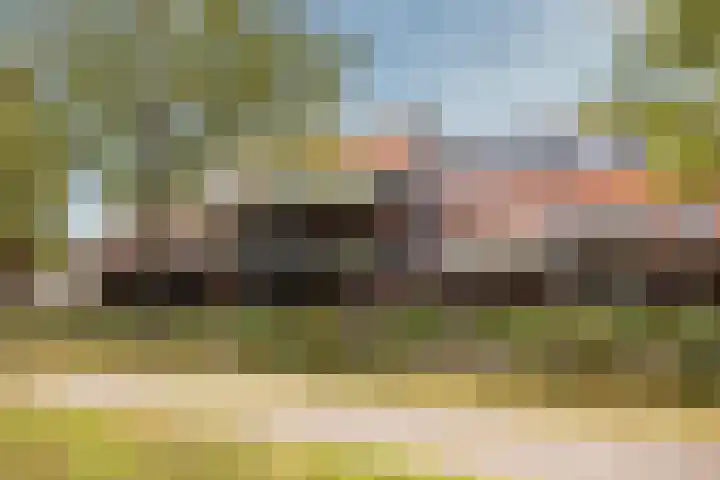 Speelkamp 30 g Leusden thumbnail 20