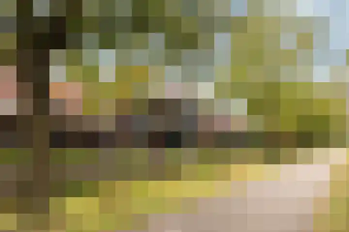 Speelkamp 30 g Leusden thumbnail 21