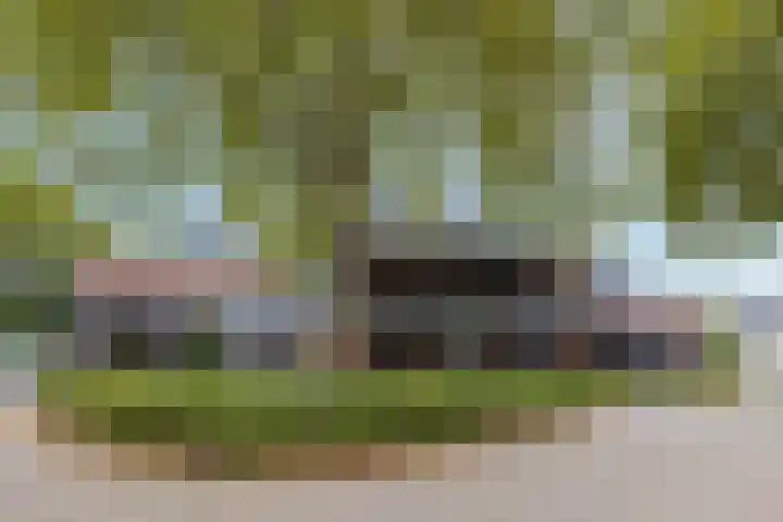 Speelkamp 30 g Leusden thumbnail 22