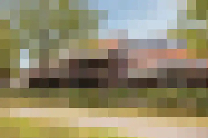 Speelkamp 30 g Leusden thumbnail 27