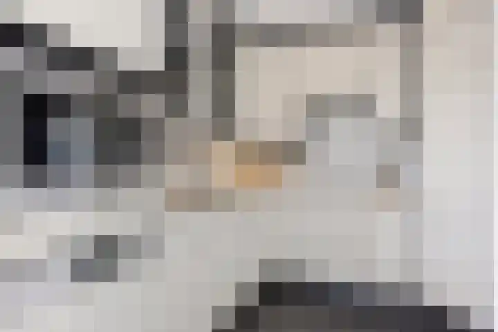 Speelkamp 49 Leusden thumbnail 11