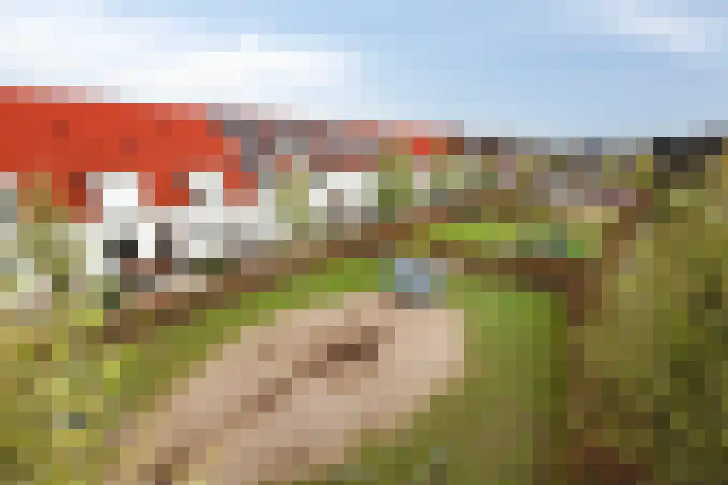 Speelmanhof 7 Etten-Leur thumbnail 42