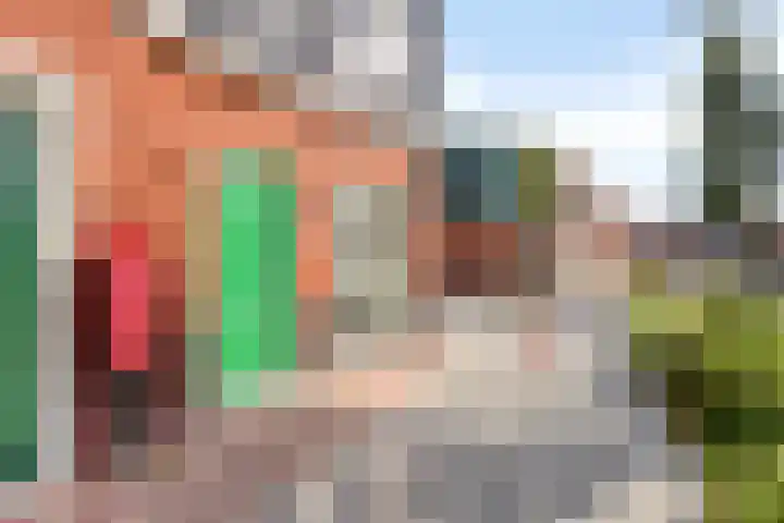 Speeltuinpad 29 Zaandam thumbnail 22