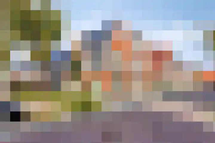 Speeltuinpad 29 Zaandam thumbnail 25
