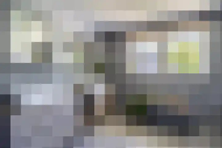 Speelveld 19 Etten-Leur thumbnail 32