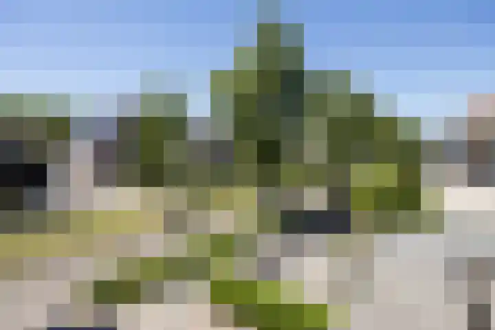 Speelveld 19 Etten-Leur thumbnail 38