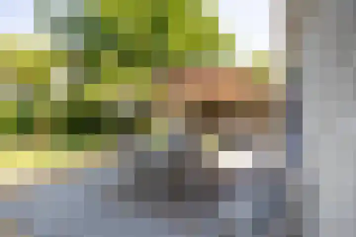 Speelveld 19 Etten-Leur thumbnail 52