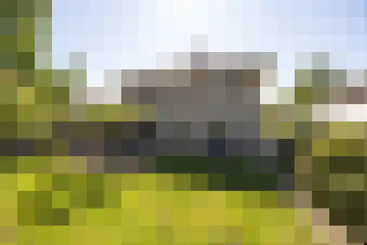 Speelveld 19 Etten-Leur thumbnail 53