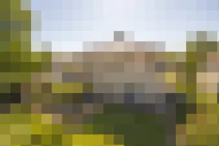 Speelveld 19 Etten-Leur thumbnail 54
