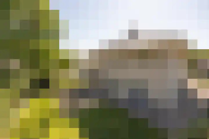 Speelveld 19 Etten-Leur thumbnail 57
