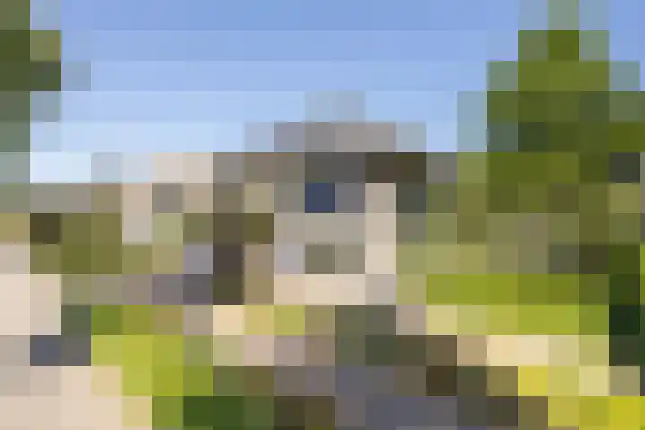 Speelveld 19 Etten-Leur thumbnail 61