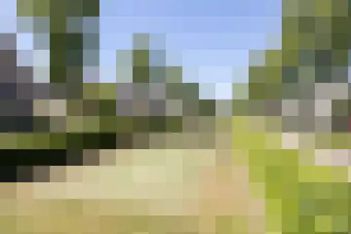 Speelveld 19 Etten-Leur thumbnail 65