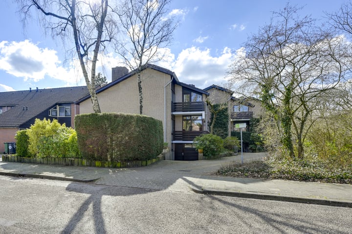 Speenkruid 1 in Doorn foto